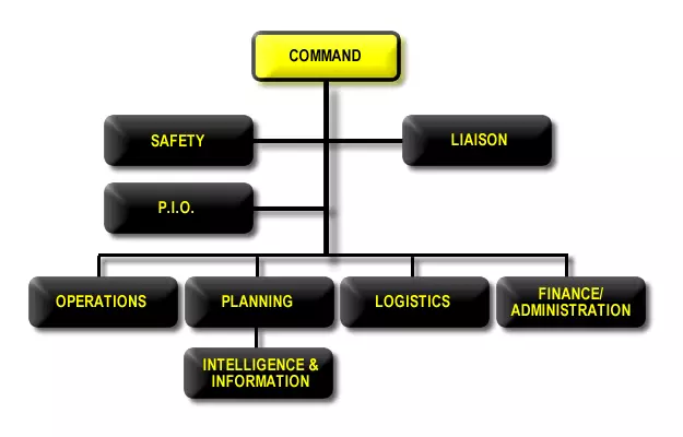 NIMS Document Figure A-1 with Intelligence